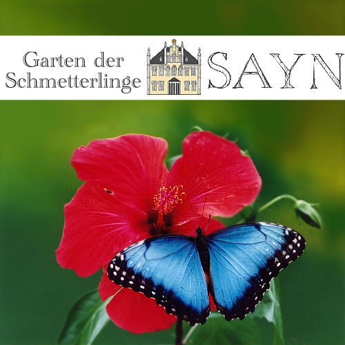 Garten der Schmetterlinge Schloss Sayn