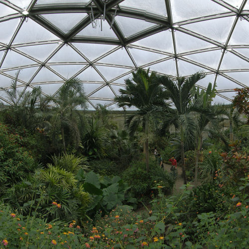 Papiliorama Swiss Tropical Gardens