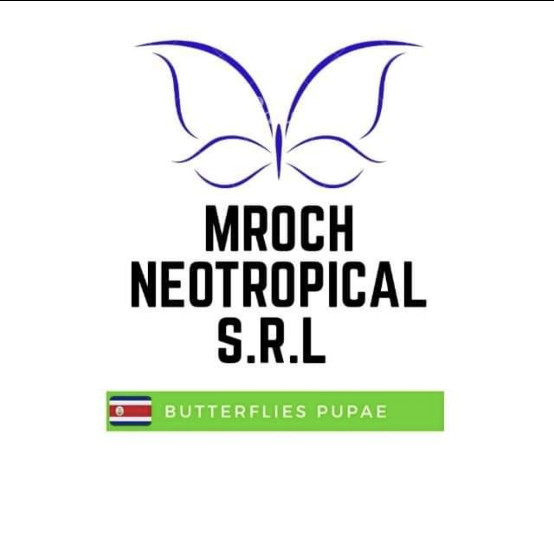 MROCH Neotropical S.R.L